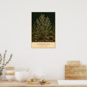 Poster Mormon Tea (Cuisine)