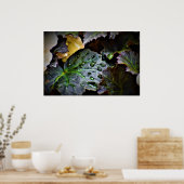 Poster Morning Dew, (Cuisine)