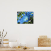 Poster Morning Glories sur Cape Cod (Cuisine)