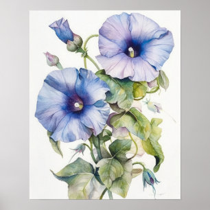 Poster Morning Glory Flowers Art Imprimer l'affiche
