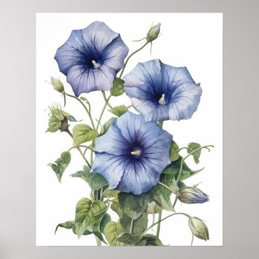 Poster Morning Glory Flowers Art Imprimer l'affiche (Devant)