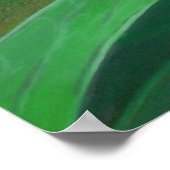 Poster Morning Glory (Ipomoea Purpurea) Petals et Dew Dr. (Coin)