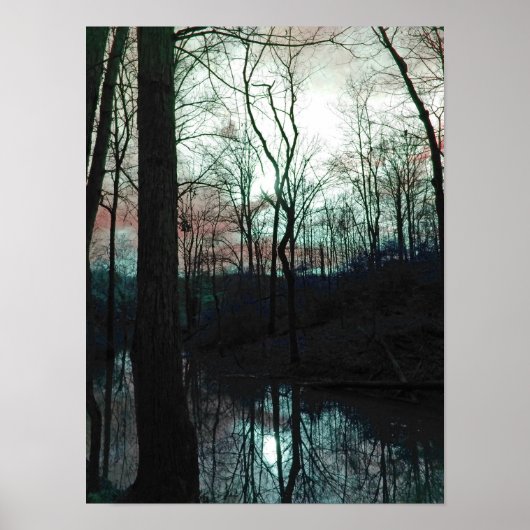 Poster Morning Light (Devant)