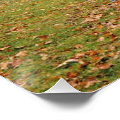 Poster Morning Mist (Coin)