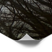 Poster Morning Mist, (Coin)