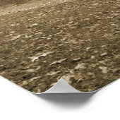 Poster Morning Mist (Coin)