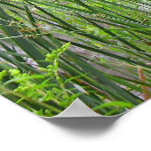 Poster Morning Mist sur l'étang (Coin)