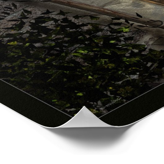 Poster Morning sun (Coin)