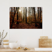 Poster Morning sunfonctionnaires through the forest (Cuisine)
