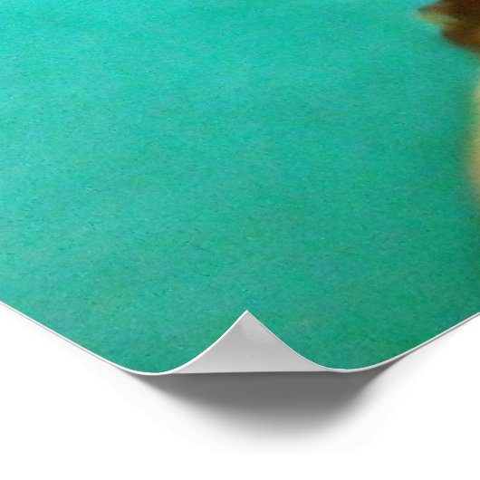 Poster Morphée (Coin)