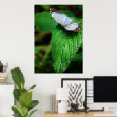Poster Morpho bleu 112 Imprimer (Bureau à domicile)