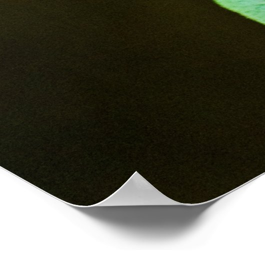 Poster Morpho bleu 143 Imprimer (Coin)