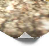 Poster Morpho bleu, Parcs du Niagara, Canada (Coin)