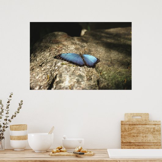 Poster Morpho bleu, Parcs du Niagara, Canada (Cuisine)