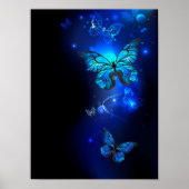 Poster Morpho Butterfly in the Dark Background (Devant)