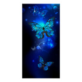 Poster Morpho Butterfly in the Dark Background (Devant)