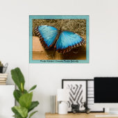 Poster Morpho Peleides - Morpho commun ... (Bureau à domicile)