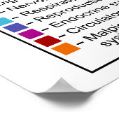 Poster Morphologie interne des papillons papillons papill (Coin)