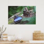 Poster Morphos Bleu -36x24 -autres tailles disponi (Cuisine)