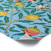 Poster Morris - Four Fruits (Coin)