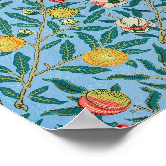 Poster Morris - Four Fruits (Coin)