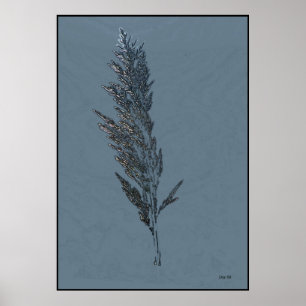 Poster Mort de la lumière