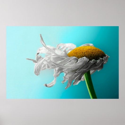 Poster Mort Mort Fréquemment Mensonge (Devant)