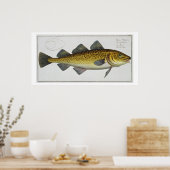 Poster Morue (Gadus Morhua) plaque LXIV de 'Ichthyologie, (Cuisine)