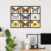 Poster Mosaic photos of butterflies (Bureau à domicile)