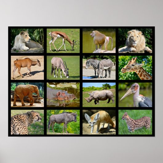 Poster Mosaïque animale africaine (Devant)