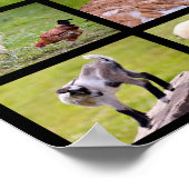 Poster Mosaïque d'animaux de ferme (Coin)