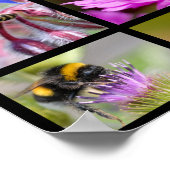 Poster Mosaïque des abeilles et bourdons (Coin)