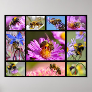 Poster Mosaïque des abeilles et bourdons