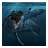 Poster Mosasaurus pourchasse l'affiche de requin (Devant)