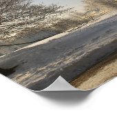 Poster Moscou. Hiver. sculpture de lions. (Coin)