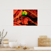 Poster mosquitus (Cuisine)