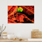 Poster mosquitus (Cuisine)