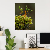 Poster Moss (Bureau à domicile)