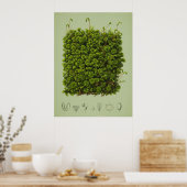 Poster Moss (Cuisine)
