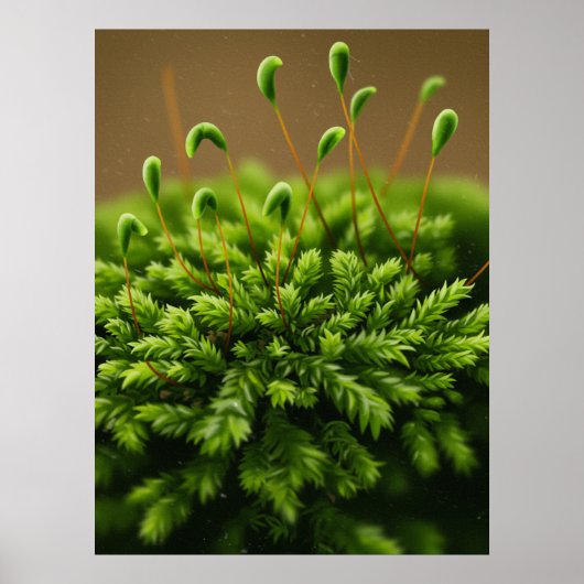 Poster Moss (Devant)