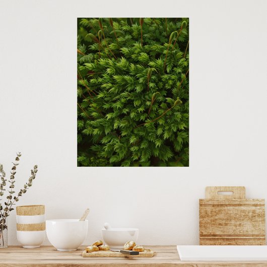 Poster Moss (Cuisine)