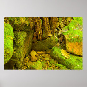 Poster Moss and Stone – Chutes hongroises, péninsule supé