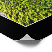Poster Moss arbre (Coin)