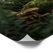 Poster Moss Bear Forest Guardian (Coin)