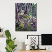 Poster Moss Covered Trail (Bureau à domicile)