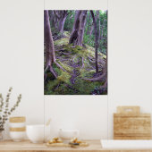 Poster Moss Covered Trail (Cuisine)