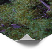 Poster Moss Covered Trail (Coin)