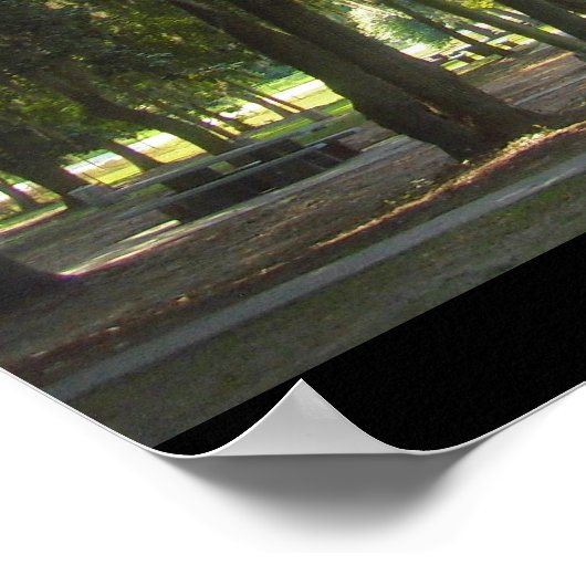 Poster Moss espagnole en Géorgie (Coin)