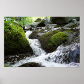 Poster Moss Falls (Devant)