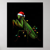 Poster Moss Mantis Noël Lumière Santa Hat Animal Insec (Devant)